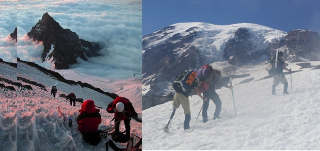 Skyline/Muir Snowfield, đỉnh Rainier, Washington Skyline/Muir Snowfield, đỉnh Rainier, Washington