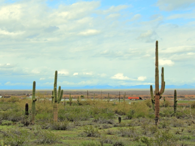 Đường liên bang 10, Arizona  Tuyến đường xuyên Phoenix đến biên giới California dài khoảng 240 km đặc biệt nguy hiểm bởi các tài xế phải lái xe băng qua các sa mạc. Theo số liệu thống kê, có 85 người chết trong một năm trên đoạn đường này. Ảnh: You Touch Pix of EuToch. 10 con đường nguy hiểm nhất nước Mỹ Đường liên bang 4, Florida