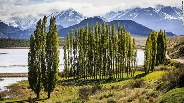 <strong>Công viên Patagonia (Chile): </strong>Được quy hoạch trong hơn một thập niên, công viên Patagonia gần đây mới được mở cửa rộng rãi cho công chúng. Khu dự trữ rộng tới 264.000 ha đang trên đường trở thành Công viên Quốc gia lớn nhất của thế kỷ 21, nơi có quần thể ,báo sư tử, kền kền... đang hồi sinh. <strong>Công viên Patagonia (Chile): </strong>Được quy hoạch trong hơn một thập niên, công viên Patagonia gần đây mới được mở cửa rộng rãi cho công chúng. Khu dự trữ rộng tới 264.000 ha đang trên đường trở thành Công viên Quốc gia lớn nhất của thế kỷ 21, nơi có quần thể ,báo sư tử, kền kền... đang hồi sinh.