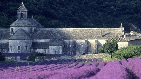 <strong>2. Provence: </strong>Vào mùa hè, người dân khắp nước Pháp và du khách thế giới thường đổ về những cánh đồng hoa oải hương tím ngắt để thưởng ngoạn. Khắp nơi tràn ngập màu tím và mùi hương dịu dàng của oải hương. <strong>2. Provence: </strong>Vào mùa hè, người dân khắp nước Pháp và du khách thế giới thường đổ về những cánh đồng hoa oải hương tím ngắt để thưởng ngoạn. Khắp nơi tràn ngập màu tím và mùi hương dịu dàng của oải hương.
