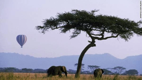 Dạo chơi bằng khinh khí cầu ở Serengeti, Tanzania