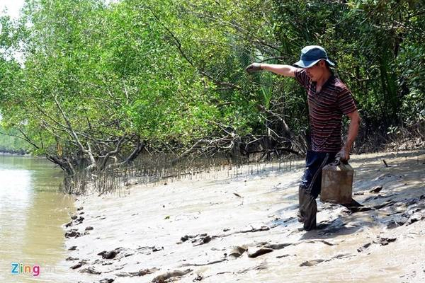 Thị trấn Cần Thạnh: Cách trung tâm thành phố không xa, song vừa đặt chân đến Cần Thạnh, bạn đã có cảm giác khác hẳn: không khí trong lành, những hàng cây hiền hòa, những ngôi nhà nhỏ liền kề nhau tạo cảm giác gần gũi. Ảnh: Nguyễn Quang. Thị trấn Cần Thạnh: Cách trung tâm thành phố không xa, song vừa đặt chân đến Cần Thạnh, bạn đã có cảm giác khác hẳn: không khí trong lành, những hàng cây hiền hòa, những ngôi nhà nhỏ liền kề nhau tạo cảm giác gần gũi. Ảnh: Nguyễn Quang.
