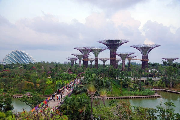 Kỳ quan “Gardens by the Bay” là điểm thu hút du khách mới của quốc đảo Singapore.