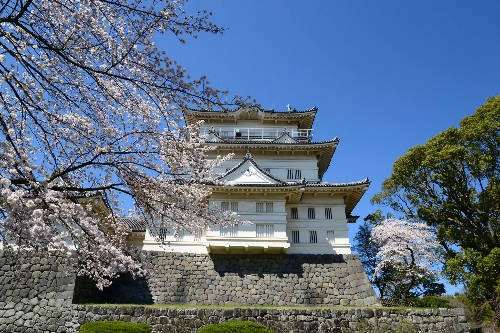 Lâu đài Odawara Lâu đài nằm ở khu Hakone, được xây dựng vào giữa thế kỷ 15, tòa tháp hiện nay được phục hồi từ năm 1960. Bên trong lâu đài được sử dụng như bảo tàng lưu giữ nhiều tư liệu lịch sử, nếu lên tầng cao nhất, du khách sẽ thấy đường chân trời ở vịnh Sagami trải dài trước mắt. Bao quanh lâu đài trồng rất nhiều hoa anh đào, mận, cẩm tú cầu, diên vĩ... Ảnh: cdn. Lâu đài Odawara Lâu đài nằm ở khu Hakone, được xây dựng vào giữa thế kỷ 15, tòa tháp hiện nay được phục hồi từ năm 1960. Bên trong lâu đài được sử dụng như bảo tàng lưu giữ nhiều tư liệu lịch sử, nếu lên tầng cao nhất, du khách sẽ thấy đường chân trời ở vịnh Sagami trải dài trước mắt. Bao quanh lâu đài trồng rất nhiều hoa anh đào, mận, cẩm tú cầu, diên vĩ... Ảnh: cdn.