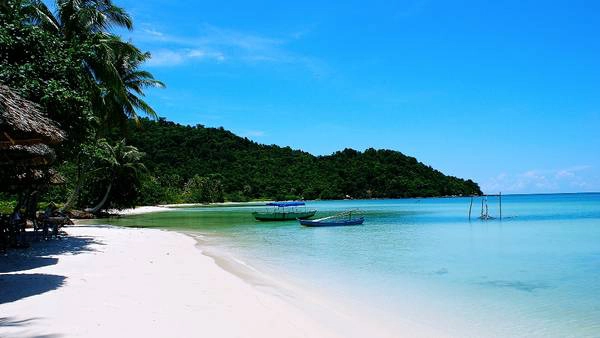 Ảnh: transoceanservice Ảnh: transoceanservice