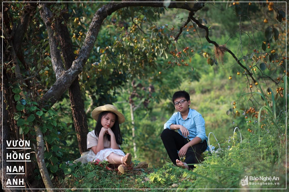 Mùa thu là thời điểm hoàn hảo nhất để đến thăm những vườn hồng bởi lúc này hồng bắt đầu chín đỏ trĩu cành cây. Từ thành phố Vinh, du khách có thể dễ dàng đến thăm vườn hồng cổ tích ở xã Nam Anh (Nam Đàn). Hồng được trồng tập trung ở xóm 8, xóm 9, nằm dọc trên đường lên núi Đại Huệ. Không chỉ đến chụp ảnh, thưởng thức hồng chín ngọt, khách du lịch còn có thể kết hợp tham quan chùa Đại Tuệ nổi tiếng. Ảnh: Duy Sơn Mùa thu là thời điểm hoàn hảo nhất để đến thăm những vườn hồng bởi lúc này hồng bắt đầu chín đỏ trĩu cành cây. Từ thành phố Vinh, du khách có thể dễ dàng đến thăm vườn hồng cổ tích ở xã Nam Anh (Nam Đàn). Hồng được trồng tập trung ở xóm 8, xóm 9, nằm dọc trên đường lên núi Đại Huệ. Không chỉ đến chụp ảnh, thưởng thức hồng chín ngọt, khách du lịch còn có thể kết hợp tham quan chùa Đại Tuệ nổi tiếng. Ảnh: Duy Sơn