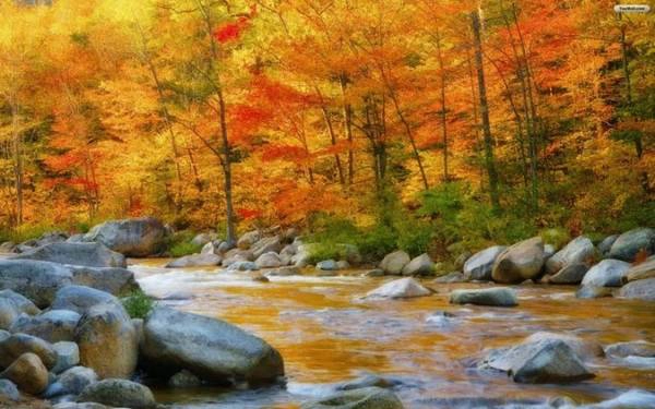 New Hampshire, Mỹ