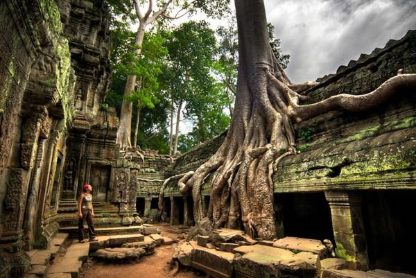 Một góc đền Ta Prohm. Ảnh: Udit Bhatia/flickr Một góc đền Ta Prohm. Ảnh: Udit Bhatia/flickr