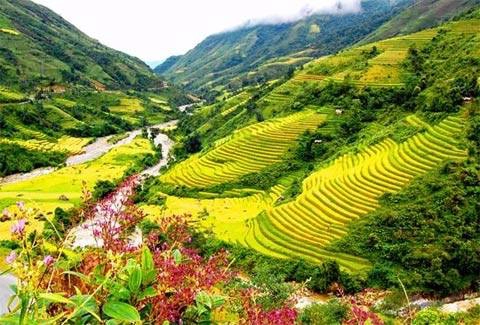 Sapa – ruộng bậc thang kỳ vĩ nhất châu Á