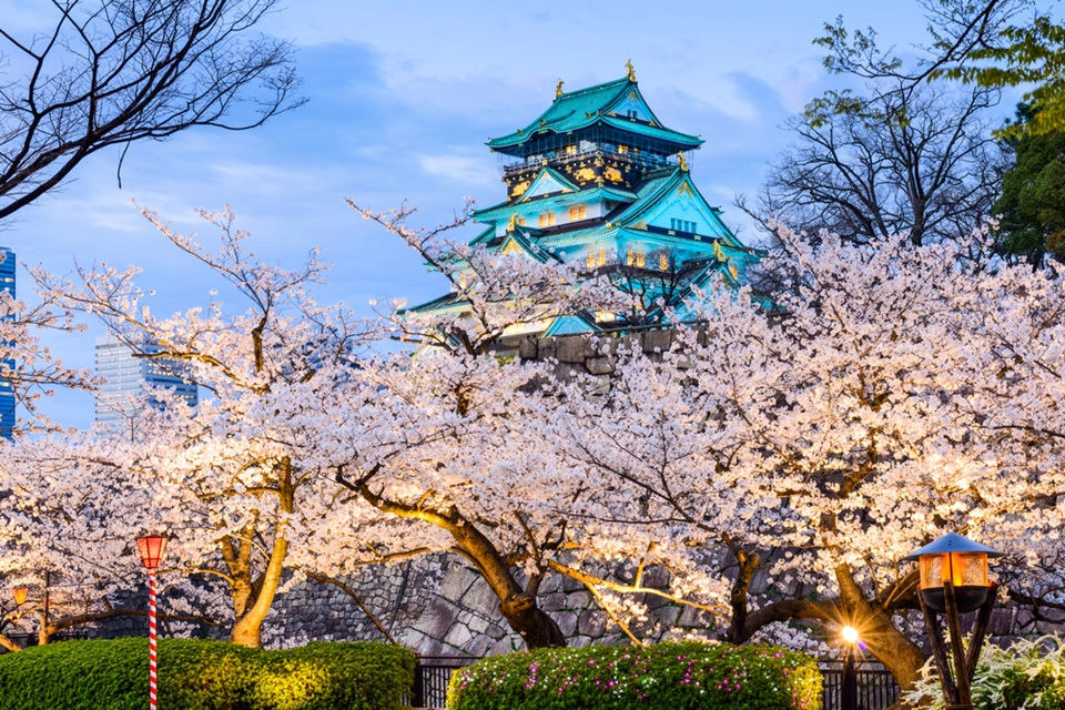 Vườn Nishinomaru: Vườn Nishinomaru cho du khách chiêm ngưỡng khung cảnh xinh đẹp với lâu đài Osaka ở phía xa. Nơi đây có hơn 600 cây anh đào và 95 loại hoa đào khác, điểm đến lý tưởng vào mùa xuân. Ảnh: Fastjapan.
