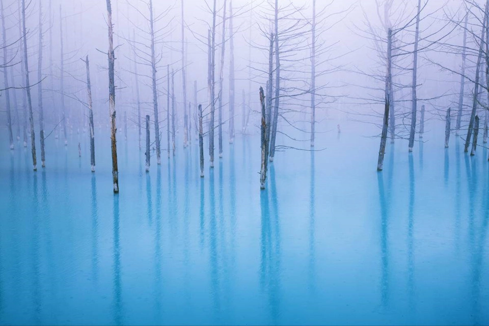 Blue Pond: Hồ nước có màu xanh độc đáo và những thân cây ấn tượng này nằm ở tỉnh Hokkaido. Trên thực tế, đây là hồ nhân tạo thuộc hệ thống kiểm soát xói mòn, được thiết kế để bảo vệ khu vực khỏi dòng bùn quanh núi lửa Tokachi. Màu xanh của nước hồ là do khoáng chất tự nhiên hình thành. Ảnh: Zekkeijapan.