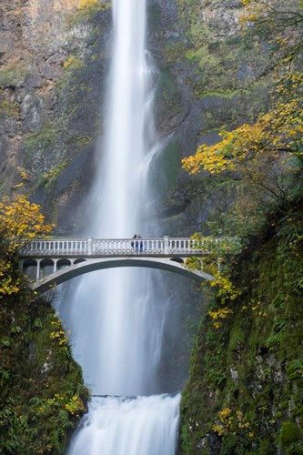 Ngoài khu vực trung tâm sôi động, thành phố lớn nhất của tiểu bang Oregon - Portland tự hào có 5.000 mẫu đất rừng trong phạm vi khu vực của mình. Hành khách có thể lướt qua rừng để thưởng thức khung cảnh tuyệt đẹp của những tán lá rực rỡ. Ngoài ra, du khách có thể tham quan thác Multnomah, sẽ mất khoảng 40 phút lái xe dọc theo sông Columbia.