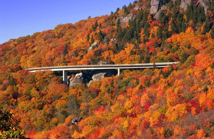 10Vào mùa thu, trên khắp các cánh rừng thuộc thành phố Asheville, phía Bắc bang Carolina như được khoác lên mình tấm áo sặc sỡ. Du khách có thể ngắm lá cây chuyển màu khi đạp xe leo núi hoặc đi bộ đường dài dọc theo những con đường yên tĩnh của dãy núi Blue Ridge.