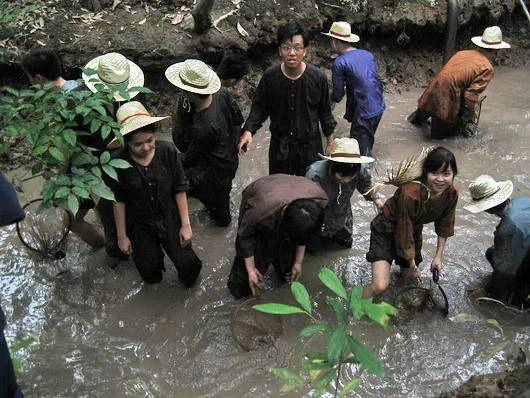 Bến Tre mùa hè mê hoặc du khách với những vườn trái cây trĩu quả, những trái dừa thơm ngọt, các đặc sản ở các cồn, chuyến rong chơi bằng xe ngựa và chèo xuồng trên dòng kênh. Ảnh: Linh San. Bến Tre mùa hè mê hoặc du khách với những vườn trái cây trĩu quả, những trái dừa thơm ngọt, các đặc sản ở các cồn, chuyến rong chơi bằng xe ngựa và chèo xuồng trên dòng kênh. Ảnh: Linh San.