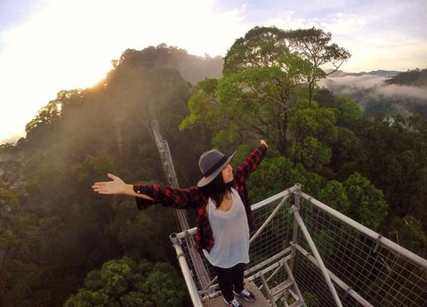 Thử thách lớn nhất dành cho du khách là lên tới đỉnh Kinabalu, ngọn núi cao nhất đảo với chiều cao 4.096 m. Năm 1851, nhà tự nhiên học Hugh Low là người đầu tiên thực hiện chuyến đi có ghi chép lại lên đây, một chuyến đi ông mô tả là “ngoài sinh vật có cánh thì không ai thực hiện nổi”. Ngày nay, tuyến đường lên đỉnh Kinabalu đã bớt hiểm trở hơn và được Malaysia đánh giá là “một trong những tuyến đường an toàn và dễ chinh phục nhất thế giới”, nhưng đã nhiều người thiệt mạng khi trèo lên đây. Ngoài ra, du khách có thể trải nghiệm đường đi bộ trên tán rừng nếu muốn có trải nghiệm thú vị mà vẫn an toàn. Ảnh: Live-less-ordinary.