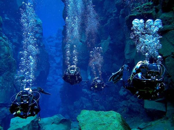Khu vực này nằm ở Iceland, nên nhiệt độ nước duy trì ở khoảng 2-4 độ C suốt cả năm, hệ sinh vật biển ở đây rất độc đáo so với các khu vực lân cận. Gần Silfra có một điểm lặn tên Daviosgja, thuộc công viên quốc gia Thingvellir và là một Di sản Thế giới do sự quan trọng về văn hóa, địa lý và lịch sử. Ảnh: Epicgapyear.
