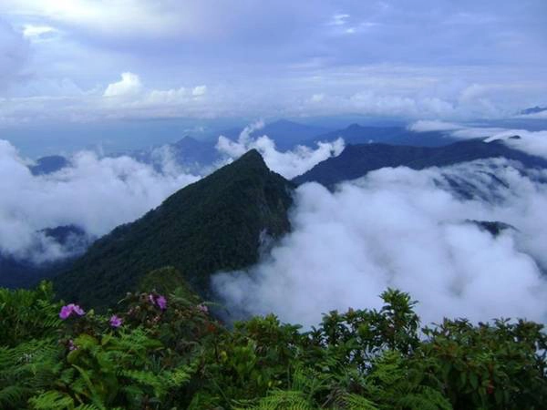 Đi qua rừng rậm Borneo: Borneo, hòn đảo lớn thứ 3 thế giới, thuộc về Malaysia, Brunei và Indonesia. Borneo có một trong những khu rừng mưa cổ nhất thế giới, hình thành từ cách đây 140 triệu năm. Phần lớn hòn đảo là rừng nguyên sơ, với hệ động thực vật phong phú và tới hơn 11.000 loại cây có hoa. Ảnh: The Richest.