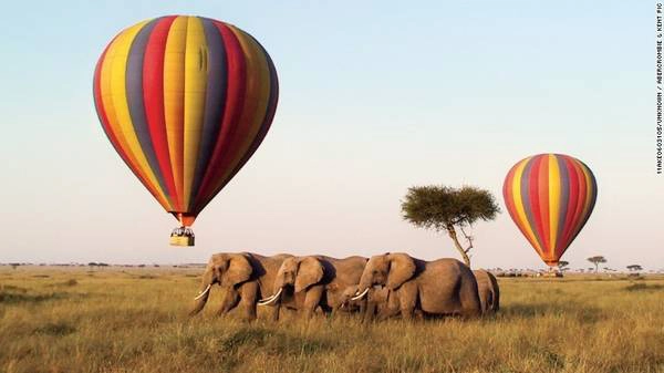 Kenya: Tour 10 ngày của Abercrombie & Kent tới Kenya sẽ đưa du khách tới nơi Meryl Streep và Robert Redford đã tổ chức buổi picnic trong phim “Out of Africa” huyền thoại, thuộc khu bảo tồn Masai Mara. Ngoài ra, bạn sẽ được ghé thăm Tsavo và Lewa Downs. Kenya: Tour 10 ngày của Abercrombie & Kent tới Kenya sẽ đưa du khách tới nơi Meryl Streep và Robert Redford đã tổ chức buổi picnic trong phim “Out of Africa” huyền thoại, thuộc khu bảo tồn Masai Mara. Ngoài ra, bạn sẽ được ghé thăm Tsavo và Lewa Downs.