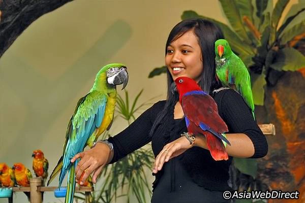  Du khách chụp hình kỷ niệm với những chú chim tại công viên. Ảnh: kuala-lumpur.ws
