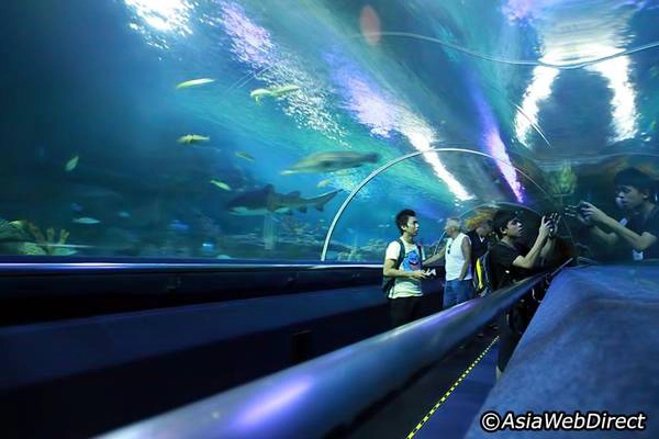Aquaria KLCC là nơi du khách sẽ được chiêm ngưỡng thế giới thủy cung với khoảng 150 loài cá đặc biệt. Ảnh: kuala-lumpur.ws