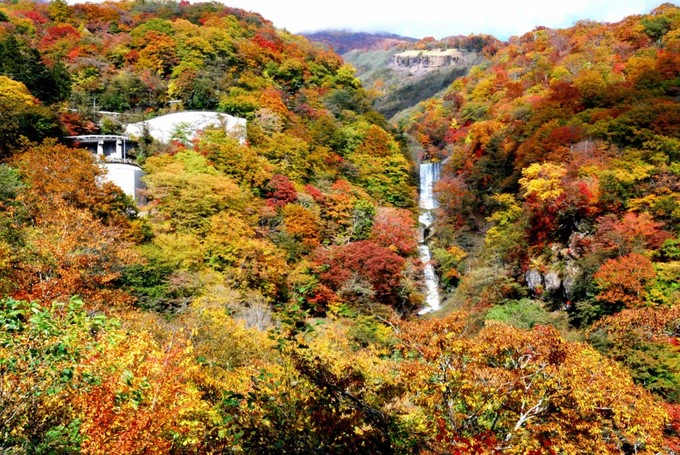 Nikko, Tochigi Nikko là một trong các điểm đến lịch sử nổi tiếng nhất Nhật Bản và đón khách du lịch tới thăm quanh năm. Tuy nhiên, mùa thu ở Nikko vẫn là thời điểm đặc sắc nhất. Những thảm lá vàng, đỏ tới dịp tháng 10 sẽ bắt đầu bao trùm khắp nơi từ hồ Chuzenji tới dốc Irohazaka… Thời gian đẹp nhất là nửa cuối tháng 10. Nikko, Tochigi Nikko là một trong các điểm đến lịch sử nổi tiếng nhất Nhật Bản và đón khách du lịch tới thăm quanh năm. Tuy nhiên, mùa thu ở Nikko vẫn là thời điểm đặc sắc nhất. Những thảm lá vàng, đỏ tới dịp tháng 10 sẽ bắt đầu bao trùm khắp nơi từ hồ Chuzenji tới dốc Irohazaka… Thời gian đẹp nhất là nửa cuối tháng 10.