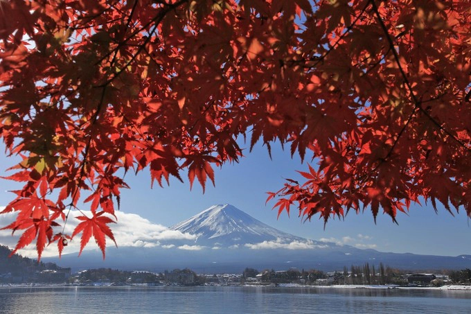 Hồ Kawaguchi, Yamanashi Nếu bạn đang tìm kiếm một nơi tuyệt đẹp để chụp ảnh lá đỏ cùng với núi Phú Sĩ thì hồ Kawaguchi là lựa chọn tốt nhất. Lễ hội mùa thu lá đỏ Kawaguchiko được tổ chức hàng năm, diễn ra từ bờ bắc của hồ, thu hút rất đông du khách tới ngắm cảnh, ăn uống và xem thắp đèn đêm. Thời gian đẹp nhất là giữa tháng 11. Hồ Kawaguchi, Yamanashi Nếu bạn đang tìm kiếm một nơi tuyệt đẹp để chụp ảnh lá đỏ cùng với núi Phú Sĩ thì hồ Kawaguchi là lựa chọn tốt nhất. Lễ hội mùa thu lá đỏ Kawaguchiko được tổ chức hàng năm, diễn ra từ bờ bắc của hồ, thu hút rất đông du khách tới ngắm cảnh, ăn uống và xem thắp đèn đêm. Thời gian đẹp nhất là giữa tháng 11.