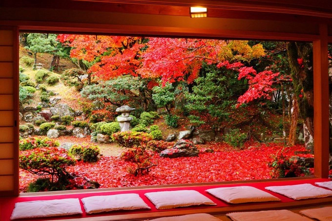 Đền Seryu-ji Tokugen-in, Shiga Seryu-ji Tokugen-in vốn là một nơi được gìn giữ, bảo tồn tốt nhất ở Nhật. Ngôi đền thanh tịnh này nằm ở tỉnh Shiga, cạnh thành phố Osaka. Các ngôi nhà trong khu đền có kiến trúc cổ, luôn có thêm vườn rải đá, trồng đầy cây cối và tới mùa thu sẽ đồng loạt chuyển màu lá đỏ. Thời gian đẹp nhất là cuối tháng 11. Đền Seryu-ji Tokugen-in, Shiga Seryu-ji Tokugen-in vốn là một nơi được gìn giữ, bảo tồn tốt nhất ở Nhật. Ngôi đền thanh tịnh này nằm ở tỉnh Shiga, cạnh thành phố Osaka. Các ngôi nhà trong khu đền có kiến trúc cổ, luôn có thêm vườn rải đá, trồng đầy cây cối và tới mùa thu sẽ đồng loạt chuyển màu lá đỏ. Thời gian đẹp nhất là cuối tháng 11.