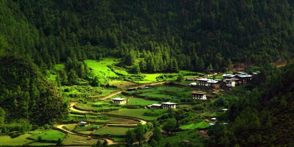 8. Bhutan là đất nước duy nhất trên thế giới có chỉ số carbon âm: Luật pháp Bhutan quy định 60% diện tích đất nước bắt buộc luôn được bao phủ bởi rừng cây. Điều đó có nghĩa là Bhutan hấp thụ nhiều carbon hơn lượng carbon thải ra không khí, không làm hại đến môi trường. Ảnh: BBC. 8. Bhutan là đất nước duy nhất trên thế giới có chỉ số carbon âm: Luật pháp Bhutan quy định 60% diện tích đất nước bắt buộc luôn được bao phủ bởi rừng cây. Điều đó có nghĩa là Bhutan hấp thụ nhiều carbon hơn lượng carbon thải ra không khí, không làm hại đến môi trường. Ảnh: BBC.