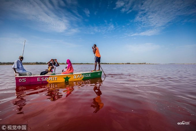 Hồ nước màu hồng khổng lồ  Màu hồng nhạt của hồ Lac Rose là một hiện tượng tự nhiên xảy ra do hàm lượng muối cao bất thường trong nước, thu hút một loại vi khuẩn vô hại. Những sinh vật bé nhỏ này sản sinh ra sắc tố đỏ để hấp thu ánh nắng mặt trời. Ảnh: Pinterest.