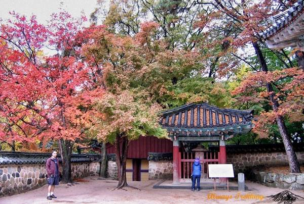 Du lich Han Quoc - Đi đến Gyeongju