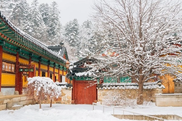Đền Woljeongsa là một điểm đến lịch sử thú vị cho du khách ghé thăm khi tới Pyeongchang. Được xây dựng năm 643, quần thể đền thờ Phật cổ này cũng là một trong 10 vườn quốc gia của Hàn Quốc. Ảnh: BI. Đền Woljeongsa là một điểm đến lịch sử thú vị cho du khách ghé thăm khi tới Pyeongchang. Được xây dựng năm 643, quần thể đền thờ Phật cổ này cũng là một trong 10 vườn quốc gia của Hàn Quốc. Ảnh: BI.