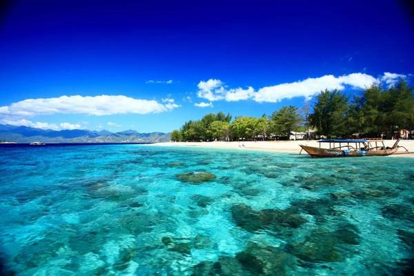 Ảnh: Worldfortraveller Ảnh: Worldfortraveller
