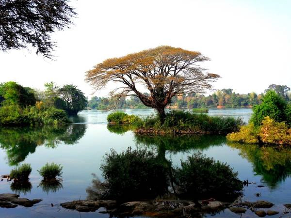 Ảnh: Reflexioneneinessuchenden Ảnh: Reflexioneneinessuchenden