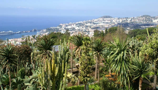 Madeira, Bồ Đào Nha.