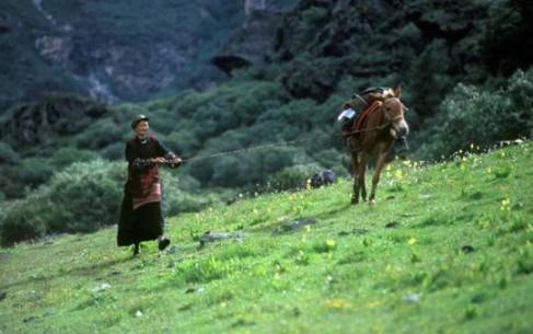 sân bay Daocheng Yading ở Tây Tạng