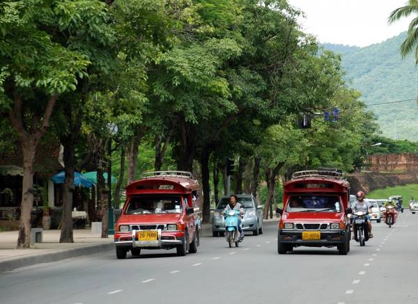 Đường phố ở Chiang Mai có rất nhiều cây xanh. Ảnh: commons.wikimedia.org
