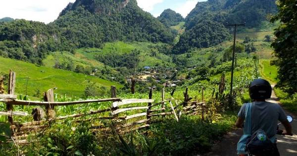 Khám phá Chiang Mai bằng xe máy là cách lý tưởng nhất để bạn ngắm cảnh đẹp nơi đây. Ảnh: lonelyplanet.com