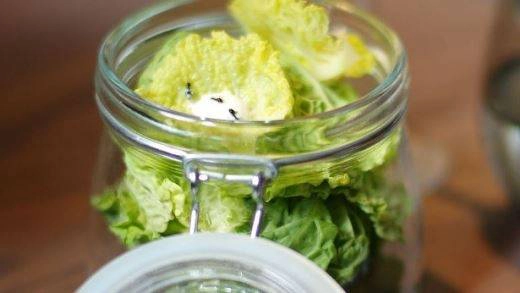 Salad Kiến Salad Kiến