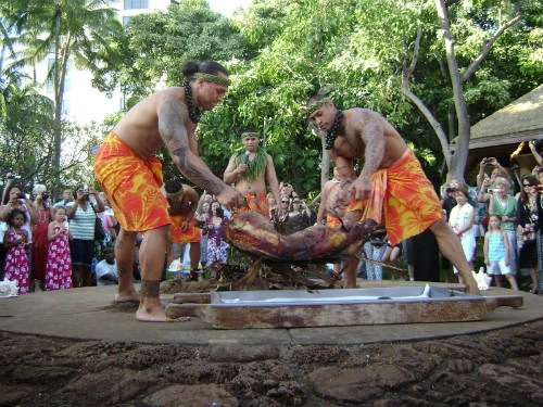 Kalua, Hawaii, Mỹ Lợn sau khi làm sạch sẽ được nhồi đá nóng vào trong, bọc lá chuối hoặc lá ti rồi phủ bên ngoài lớp cát, sau đó nướng 6-7 giờ trong lò ngầm (gọi là IMU). Đây là món ăn truyền thống của người Hawaii bản địa. Ảnh: oregonstate Kalua, Hawaii, Mỹ Lợn sau khi làm sạch sẽ được nhồi đá nóng vào trong, bọc lá chuối hoặc lá ti rồi phủ bên ngoài lớp cát, sau đó nướng 6-7 giờ trong lò ngầm (gọi là IMU). Đây là món ăn truyền thống của người Hawaii bản địa. Ảnh: oregonstate
