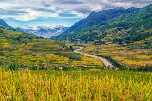 Thung lũng Mường Hoa: Nằm cách thị trấn SaPa 10km về phía Đông Nam, Mường Hoa là điểm đến hấp dẫn thu hút những bước chân lãng du đến với miền sơn cước. Thật không mấy khó khăn để nhận ra Mường Hoa, vượt qua một con đèo men theo dãy núi, du khách sẽ bị “hút hồn” ngay bởi nét hữu tình của cảnh đất trời hội tụ tại đây. Ảnh: Black Baron93 Thung lũng Mường Hoa: Nằm cách thị trấn SaPa 10km về phía Đông Nam, Mường Hoa là điểm đến hấp dẫn thu hút những bước chân lãng du đến với miền sơn cước. Thật không mấy khó khăn để nhận ra Mường Hoa, vượt qua một con đèo men theo dãy núi, du khách sẽ bị “hút hồn” ngay bởi nét hữu tình của cảnh đất trời hội tụ tại đây. Ảnh: Black Baron93