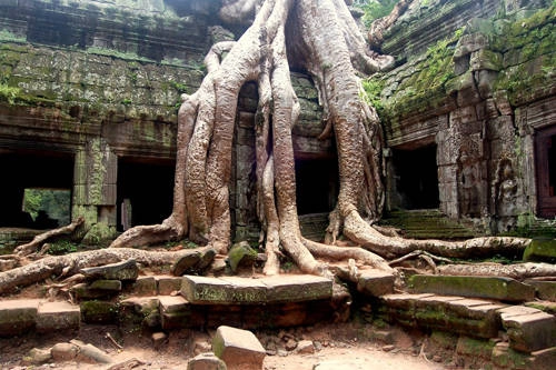 10-ngoi-den-nen-den-nhat-tai-siem-reap-ivivu4