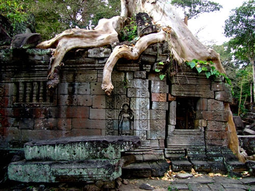 10-ngoi-den-nen-den-nhat-tai-siem-reap-ivivu7