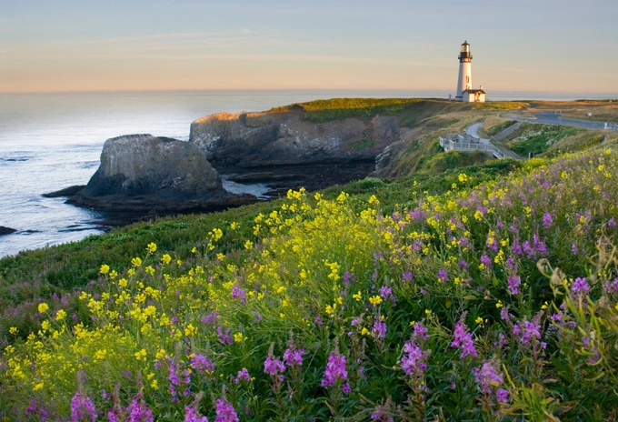 Hải đăng Yaquina, bang Oregon, Mỹ Tòa tháp tuyệt đẹp này được cho là công trình cổ nhất thành phố Newport, Oregon, tọa lạc ven bờ vịnh Yaquina. Hải đăng Yaquina được hoàn thành vào năm 1871. Nhưng chỉ sau 3 năm, nó đã bị ngưng hoạt động sau khi một ngọn hải đăng mới được xây dựng. Năm 1946, nó dự kiến sẽ bị phá dỡ nhưng Hội Lịch sử xã hội Hạt Lincoln đã quyên góp tiền để bảo tồn nó. Vào năm 1951, hải đăng Yaquina đã được công nhận là di tích lịch sử, hoạt động như một bảo tàng cho hạt trong suốt 18 năm. Năm 1970, ngọn hải đăng trở thành Địa danh Lịch sử Quốc gia và được tu sửa theo Luật Bảo tồn Lịch sử. Năm 1996, sau hơn 100 năm ngưng hoạt động, ngọn hải đăng đã được thắp sáng trở lại và mở cửa cho du khách tham quan. Ảnh: Oregon.gov. Hải đăng Yaquina, bang Oregon, Mỹ Tòa tháp tuyệt đẹp này được cho là công trình cổ nhất thành phố Newport, Oregon, tọa lạc ven bờ vịnh Yaquina. Hải đăng Yaquina được hoàn thành vào năm 1871. Nhưng chỉ sau 3 năm, nó đã bị ngưng hoạt động sau khi một ngọn hải đăng mới được xây dựng. Năm 1946, nó dự kiến sẽ bị phá dỡ nhưng Hội Lịch sử xã hội Hạt Lincoln đã quyên góp tiền để bảo tồn nó. Vào năm 1951, hải đăng Yaquina đã được công nhận là di tích lịch sử, hoạt động như một bảo tàng cho hạt trong suốt 18 năm. Năm 1970, ngọn hải đăng trở thành Địa danh Lịch sử Quốc gia và được tu sửa theo Luật Bảo tồn Lịch sử. Năm 1996, sau hơn 100 năm ngưng hoạt động, ngọn hải đăng đã được thắp sáng trở lại và mở cửa cho du khách tham quan. Ảnh: Oregon.gov.