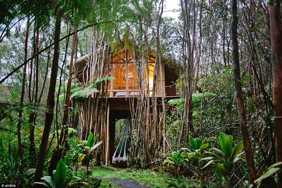 6. Tropical Treehouse, Fern Forest, Hawaii - được yêu thích 66.336 lần: Căn nhà cây xanh nhiệt đới nằm trong tán rừng rậm ở bên ngoài Công viên quốc gia Hawaii Volcanoes thuộc đảo chính. 6. Tropical Treehouse, Fern Forest, Hawaii - được yêu thích 66.336 lần: Căn nhà cây xanh nhiệt đới nằm trong tán rừng rậm ở bên ngoài Công viên quốc gia Hawaii Volcanoes thuộc đảo chính.