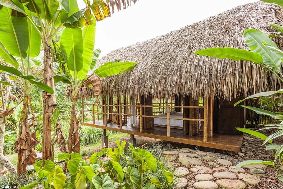 3. Farm Cabana, Armenia, Colombia - được yêu thích 99.622 lần: Căn chòi lãng mạn được xây dựng bằng tre này nằm trong một đồn điền cafe ở Colombia, đây chính là cơ ngơi được mơ ước đến nhiều thứ 3 trên thế giới. 3. Farm Cabana, Armenia, Colombia - được yêu thích 99.622 lần: Căn chòi lãng mạn được xây dựng bằng tre này nằm trong một đồn điền cafe ở Colombia, đây chính là cơ ngơi được mơ ước đến nhiều thứ 3 trên thế giới.