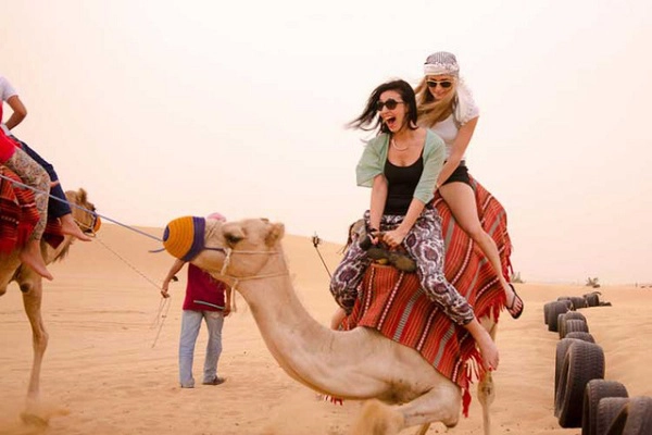 Ảnh: Dubaicamelride Ảnh: Dubaicamelride