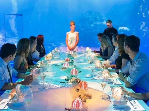 Sublimotion, Ibiza, Tây Ban Nha 3.266 USD/2 người; với 13 món Sublimotion nằm trong khách sạn Hard Rock tại Ibiza, do đầu bếp Paco Roncero làm bếp trưởng chuyên phục vụ bữa ăn dài 3 tiếng dành cho 12 người. Với đội ngũ nhân viên 25 người chuẩn bị bữa tối thượng hạng cho thực khách từ phục vụ cocktail, chiếu phim 360 độ, bàn ăn thắp đèn neon và mỗi món ăn kết hợp các kỹ thuật mới. Sublimotion, Ibiza, Tây Ban Nha 3.266 USD/2 người; với 13 món Sublimotion nằm trong khách sạn Hard Rock tại Ibiza, do đầu bếp Paco Roncero làm bếp trưởng chuyên phục vụ bữa ăn dài 3 tiếng dành cho 12 người. Với đội ngũ nhân viên 25 người chuẩn bị bữa tối thượng hạng cho thực khách từ phục vụ cocktail, chiếu phim 360 độ, bàn ăn thắp đèn neon và mỗi món ăn kết hợp các kỹ thuật mới.
