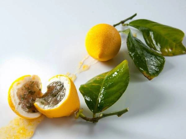 Le Meurice Alain Ducasse, Paris, Pháp 828 USD/2 người; với 5 món Nhà hàng Le Meurice Alain Ducasse, do đầu bếp Alain Ducasse và Christophe Saintagne cùng điều hành, chuyên về ẩm thực Pháp. Nằm trong một không gian có phong cách sang trọng, như những căn hộ hoàng gia ở cung điện Versailles, nhà hàng phục vụ thực đơn gồm nhiều món như tôm tùm, rau bọc muối, gà nấu tỏi dại và nấm. Le Meurice Alain Ducasse, Paris, Pháp 828 USD/2 người; với 5 món Nhà hàng Le Meurice Alain Ducasse, do đầu bếp Alain Ducasse và Christophe Saintagne cùng điều hành, chuyên về ẩm thực Pháp. Nằm trong một không gian có phong cách sang trọng, như những căn hộ hoàng gia ở cung điện Versailles, nhà hàng phục vụ thực đơn gồm nhiều món như tôm tùm, rau bọc muối, gà nấu tỏi dại và nấm.