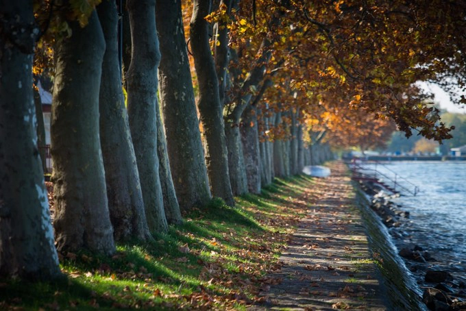 Budapest, Hungary  Với nhiệt độ mùa hè thường lên đến hơn 30 độ C, đến cuối tháng 10, thời tiết ở Budapest trở nên vô cùng dịu nhẹ. Vào mùa thu, người dân Hungary thường tổ chức các lễ hội đồ uống và ẩm thực, dù thời điểm này hầu hết khách du lịch đã trở về nhà.  Đây cũng là thành phố lý tưởng để bạn đi lang thang trên những con phố quanh co ngắm thu sang, khám phá các quán cà phê ấm cúng. Bạn cũng có thể ghé thăm các vùng rượu vang gần đó để trải nghiệm vụ thu hoạch ở Eger, Tokaj hoặc Villany, hoặc lái xe đến Danube Bend để chiêm ngưỡng màu sắc rực rỡ của mùa thu. Ảnh: WeloveBudapest.