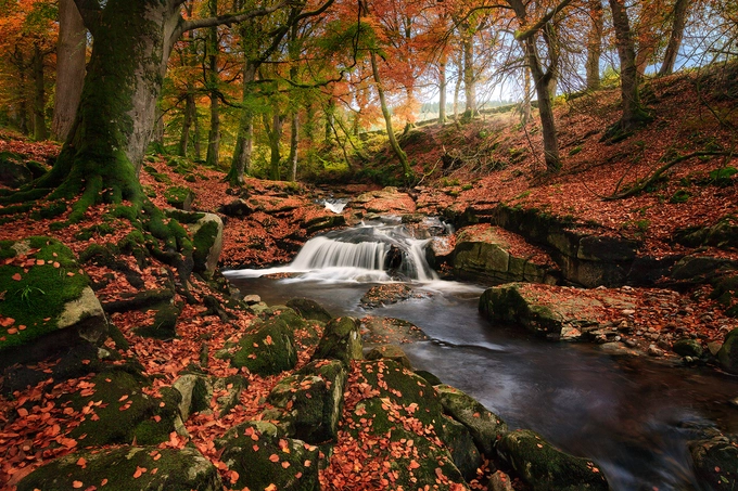 Wicklow, Ireland  Vào những ngày tháng 9, bầu trời ở Wicklow rất xanh và cây cối khoác áo vàng rực rỡ. Ngoài tham quan các thác nước với khung cảnh hữu tình, bạn có thể ghé thăm các di tích lịch sử như Glendalough hay vào một quán bar địa phương, nhâm nhi ly đồ uống bên bếp lửa tí tách củi cháy. Ảnh: Bryan Hanna.